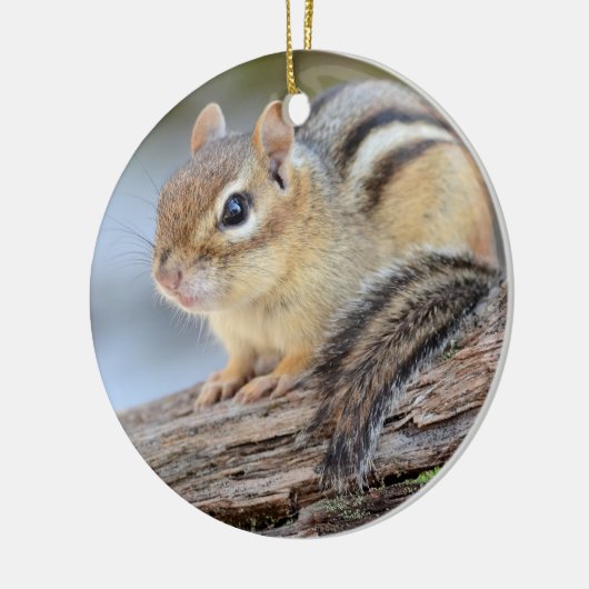 Eenvoudig Schattige Little Chipmunk Keramisch Ornament (Links)