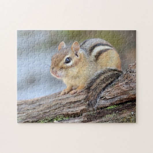 Eenvoudig Schattige Little Chipmunk Legpuzzel (Horizontaal)