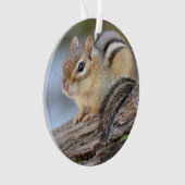 Eenvoudig Schattige Little Chipmunk Ornament (voorkant)
