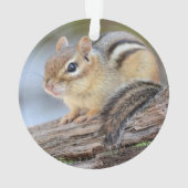 Eenvoudig Schattige Little Chipmunk Ornament (achterkant)