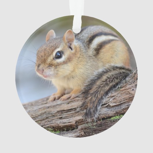 Eenvoudig Schattige Little Chipmunk Ornament (achterkant)