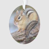 Eenvoudig Schattige Little Chipmunk Ornament (voorkant)