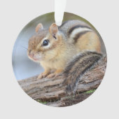 Eenvoudig Schattige Little Chipmunk Ornament (voorkant)