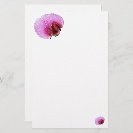 Eenvoudig snoepgoed briefpapier (Voorkant / Achterkant)