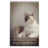 Eenvoudig speels Schattige en grillig kattenliefde Kalender (Jan 2026)