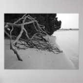 Eenvoudig strand poster (Voorkant)