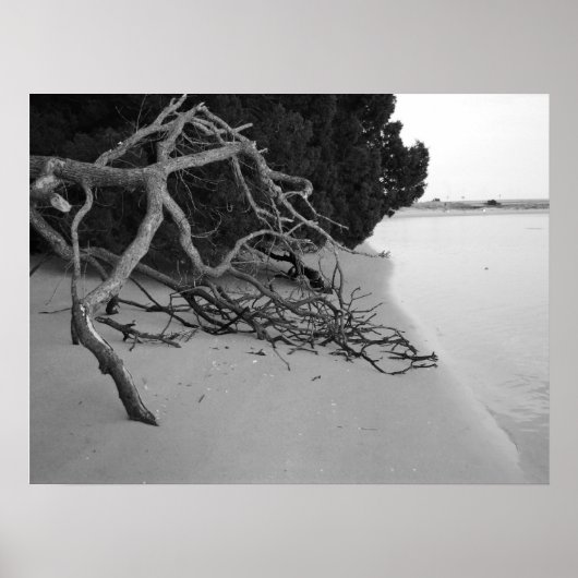 Eenvoudig strand poster (Voorkant)