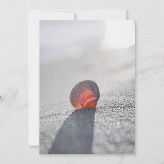 Eenvoudig strand Seashell Wijnglas Pensioen Kaart (Achterkant)