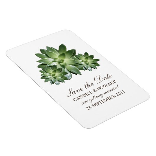 Eenvoudig Succulent sparen de Datum Flexi Magnet Magneet (Rechterzijde)