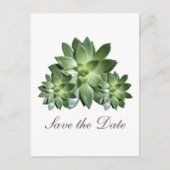 Eenvoudig Succulent sparen de Datum uitnodigen Aankondigingskaart (Voorkant)