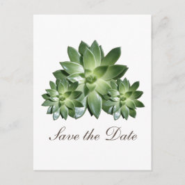 Eenvoudig Succulent sparen de Datum uitnodigen Aankondigingskaart