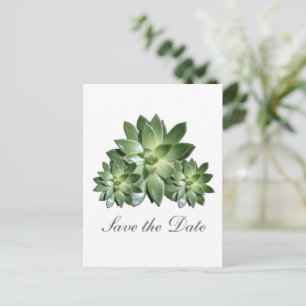 Eenvoudig Succulent sparen de Datum uitnodigen Aankondigingskaart