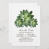 Eenvoudig Succulent sparen de Datum uitnodigen Save The Date (Voorkant / Achterkant)