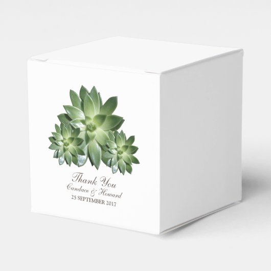 Eenvoudig Succulent Wedding Favor Boxes Bedankdoosjes (Voorkant Zijde)