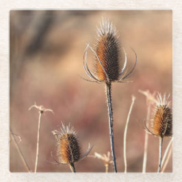 Eenvoudig Thistle Glazen Onderzetter