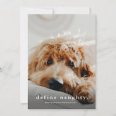 Eenvoudig Type Funny Pet Kerstmis Feestdagenkaart (Voorkant)