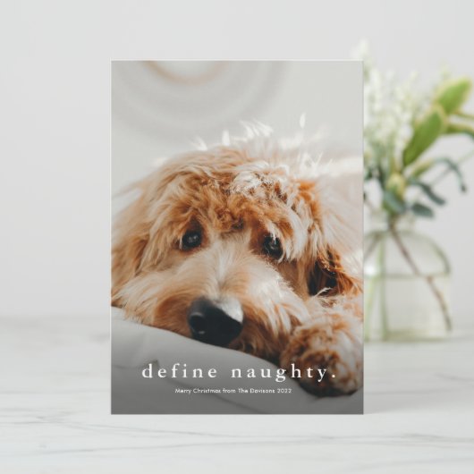 Eenvoudig Type Funny Pet Kerstmis Feestdagenkaart (Staand voorkant)