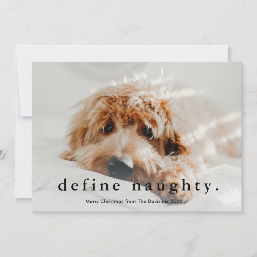 Eenvoudig Type Funny Pet Kerstmis Feestdagenkaart (Voorkant)