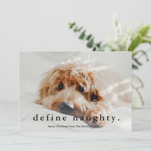 Eenvoudig Type Funny Pet Kerstmis Feestdagenkaart (Staand voorkant)