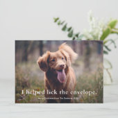 Eenvoudig Type Funny Pet Kerstmis Feestdagenkaart (Staand voorkant)