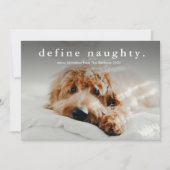 Eenvoudig Type Funny Pet Kerstmis Feestdagenkaart (Voorkant)