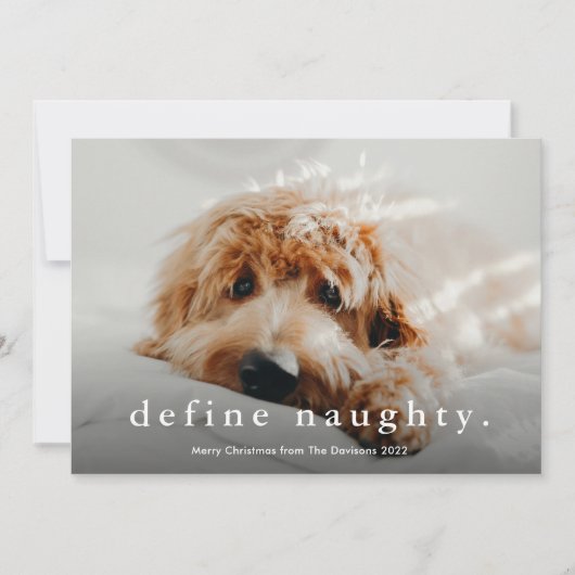 Eenvoudig Type Funny Pet Kerstmis Feestdagenkaart (Voorkant)