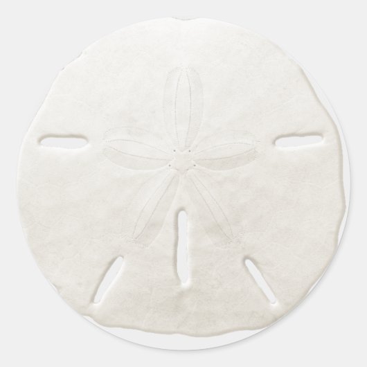Eenvoudig 'White Sand Dollar Beach'-weddenschap Ronde Sticker (Voorkant)