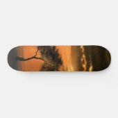 Eenvoudig zonneboomskateboard - Zonnehoogte Persoonlijk Skateboard (Horizontaal)
