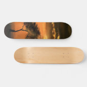 Eenvoudig zonneboomskateboard - Zonnehoogte Persoonlijk Skateboard (Horizontaal)