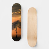 Eenvoudig zonneboomskateboard - Zonnehoogte Persoonlijk Skateboard (Voorkant)