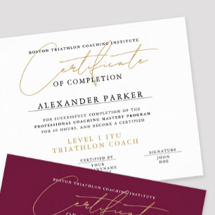 Eenvoudig Zwart Wit Goud Certificaat Award Diploma Poster