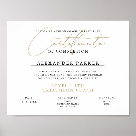 Eenvoudig Zwart Wit Goud Certificaat Award Diploma Poster (Voorkant)