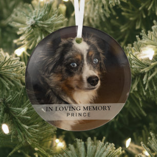Eenvoudige Aandenken Foto Hond In Liefdevolle Heri Glas Ornament