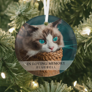 Eenvoudige Aandenken Foto Huisdier Kat In Liefdevo Glas Ornament