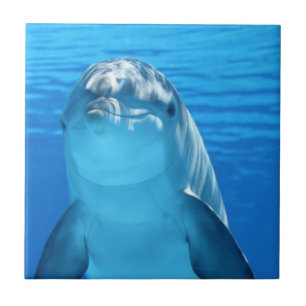 Eenvoudige aangepaste foto tegeltje