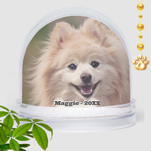 Eenvoudige aangepaste foto van een Pomeranian hond Sneeuwbol