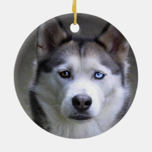 Eenvoudige aangepaste husky hond foto keramisch ornament (Achterkant)