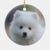 Eenvoudige aangepaste Japanse Spitz Dog Foto Keramisch Ornament (Achterkant)