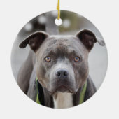 Eenvoudige aangepaste Pit Bull-hondsfoto Keramisch Ornament (Achterkant)