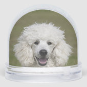 Eenvoudige aangepaste poedel hond foto sneeuwbol (Achterkant)