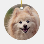 Eenvoudige aangepaste Pommerse hond foto Keramisch Ornament (Achterkant)