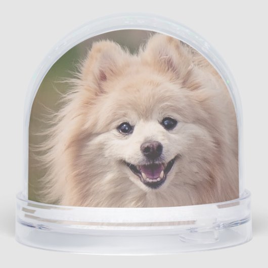 Eenvoudige aangepaste Pommerse hond foto Sneeuwbol (Achterkant)