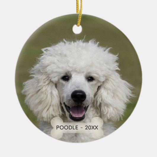 Eenvoudige Aangepaste Poodle Hond Foto Keramisch Ornament (Voorkant)