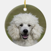 Eenvoudige Aangepaste Poodle Hond Foto Keramisch Ornament (Achterkant)