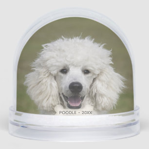 Eenvoudige Aangepaste Poodle Hond Foto Sneeuwbol