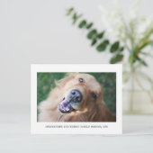 Eenvoudige Aankondiging van de Adoptie van de Foto (Staand voorkant)