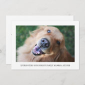 Eenvoudige aankondiging van de goedkeuring van een (Voorkant / Achterkant)