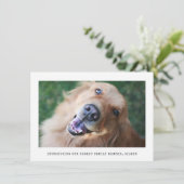 Eenvoudige aankondiging van de goedkeuring van een (Staand voorkant)