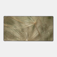 Eenvoudige Akene Natuur Bokeh Macro Fotoneutraal