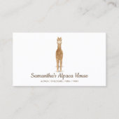Eenvoudige Alpaca Visitekaartje (Voorkant)
